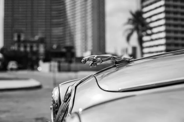 20Bets Casino Application Android/iOS